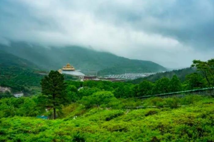 溪口杜鹃谷门票优惠政策 溪口杜鹃谷门票优惠政策