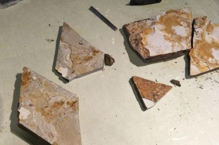 朝阳化石谷门票优惠政策 朝阳化石谷门票优惠政策