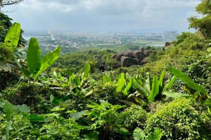 东山岭风景区一日游攻略2024 东山岭风景区一日游攻略2024