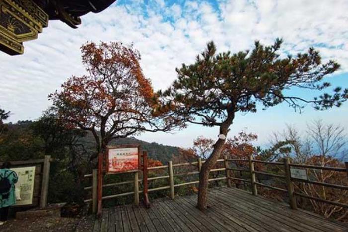 2024西天目山风景区门票优惠政策 2024西天目山风景区门票优惠政策