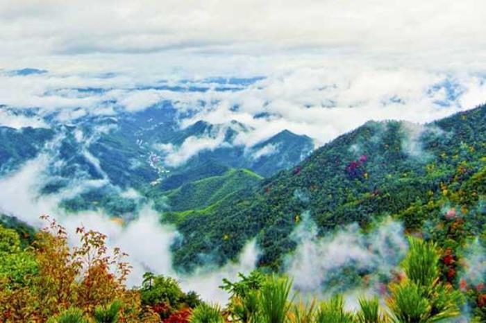 2024西天目山风景区门票优惠政策 2024西天目山风景区门票优惠政策