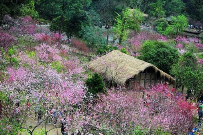 2024常德桃花源景区门票优惠政策最新 2024常德桃花源景区门票优惠政策最新