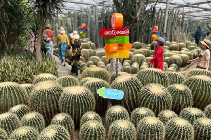 天宫庄园门票优惠政策 天宫庄园门票优惠政策