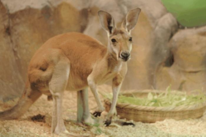 西安周末亲子游好去处 西安周末亲子游好去处