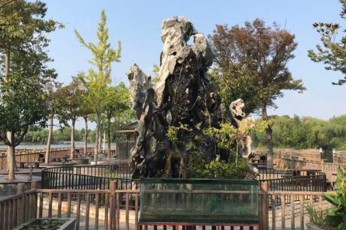 高家庄生态园门票优惠政策 高家庄生态园门票优惠政策