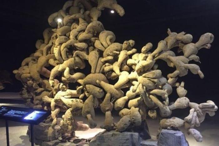 上海木文化博物馆免票政策 上海木文化博物馆免票政策