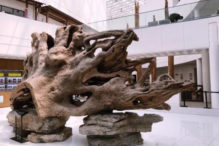 上海木文化博物馆免票政策 上海木文化博物馆免票政策