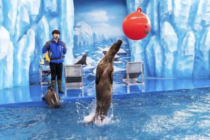 2024天津文化中心海底世界门票优惠政策 2024天津文化中心海底世界门票优惠政策