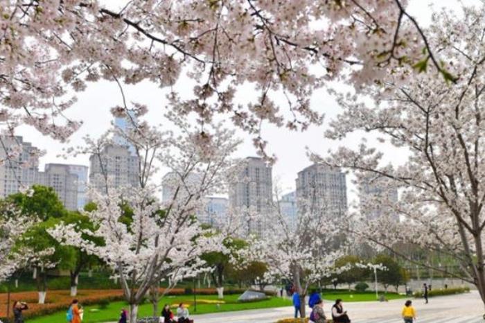 2022武汉春游最佳去处推荐 2022武汉春游最佳去处推荐