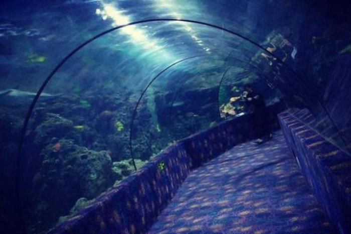 郑州海洋馆好玩吗