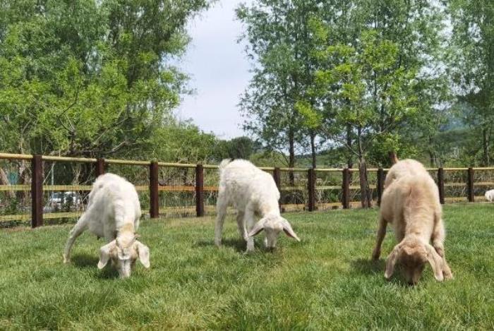 天津郭家沟一日游攻略 有什么好玩的地方 天津郭家沟一日游攻略 有什么好玩的地方