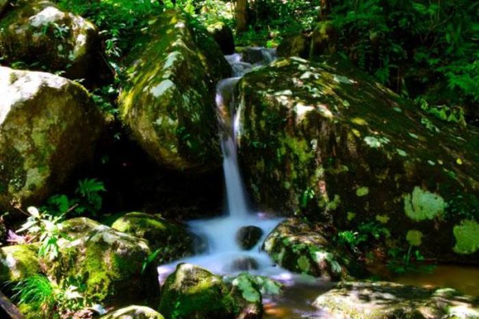 神农谷国家森林公园旅游攻略 附地址及自驾游攻略 神农谷国家森林公园旅游攻略 附地址及自驾游攻略