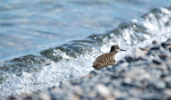 西伯利亚的“明珠”贝加尔湖，为何被称为“来路不明”的湖泊？