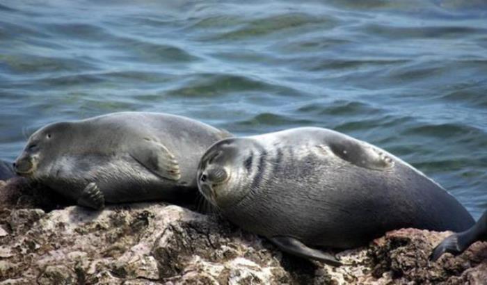 西伯利亚的“明珠”贝加尔湖，为何被称为“来路不明”的湖泊？