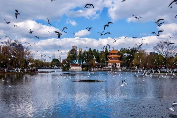 2022昆明游玩景点推荐路线 必玩的景点推荐 2022昆明游玩景点推荐路线 必玩的景点推荐