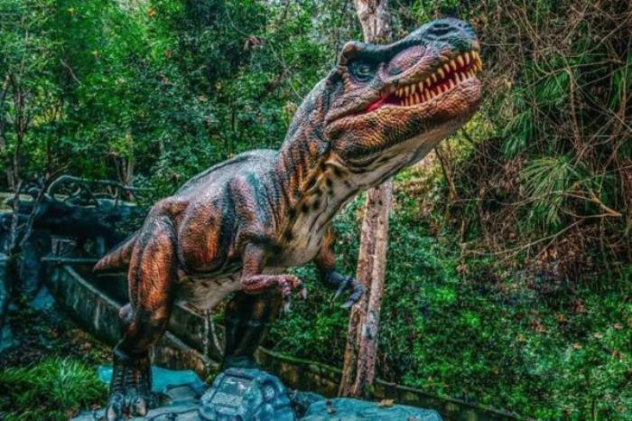 2024皇龙大峡谷门票优惠政策