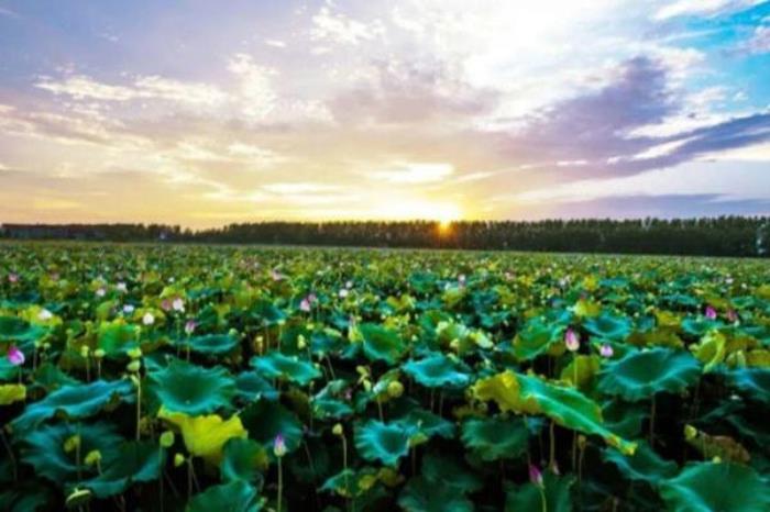 湖北暑假旅游好去处推荐 湖北暑假旅游好去处推荐