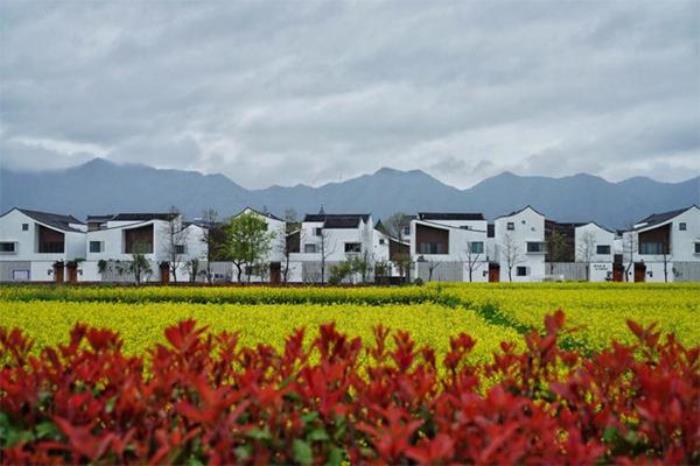 富阳东梓关村旅游攻略一日游