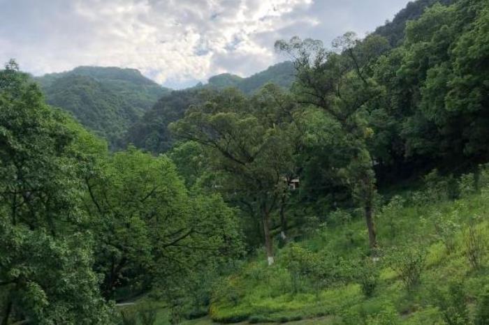 磁器口古镇周边景点有哪些