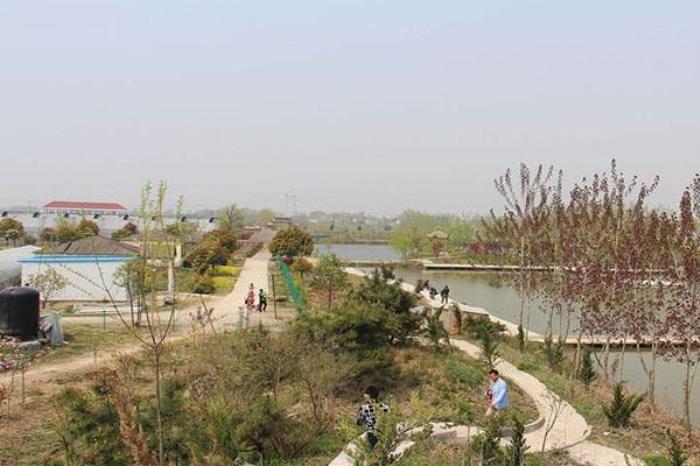 海上明珠生态园 海上明珠生态园