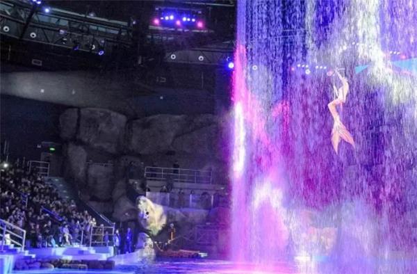 芜湖新华联大白鲸海洋公园 芜湖新华联大白鲸海洋公园