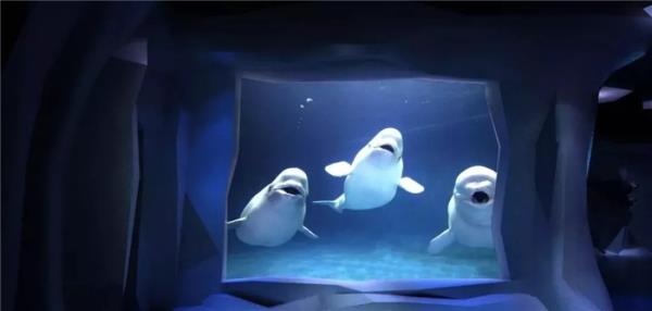 芜湖新华联大白鲸海洋公园 芜湖新华联大白鲸海洋公园