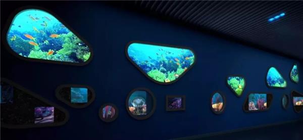 芜湖新华联大白鲸海洋公园 芜湖新华联大白鲸海洋公园