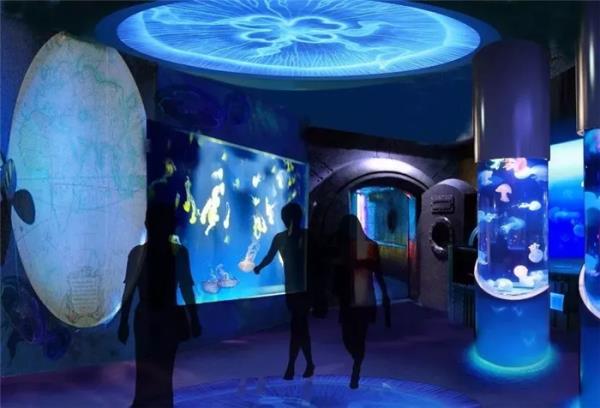 芜湖新华联大白鲸海洋公园 芜湖新华联大白鲸海洋公园