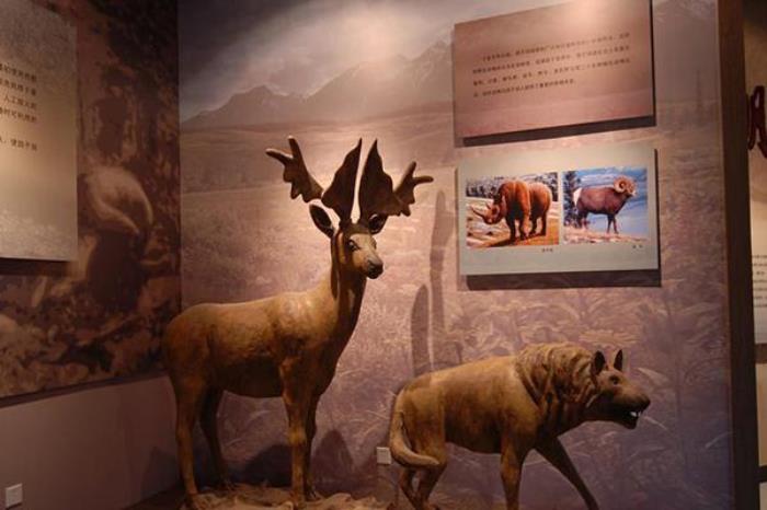 朝阳博物馆 朝阳博物馆