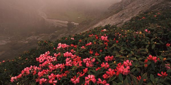 香格里拉巴拉格宗风景名胜区 香格里拉巴拉格宗风景名胜区