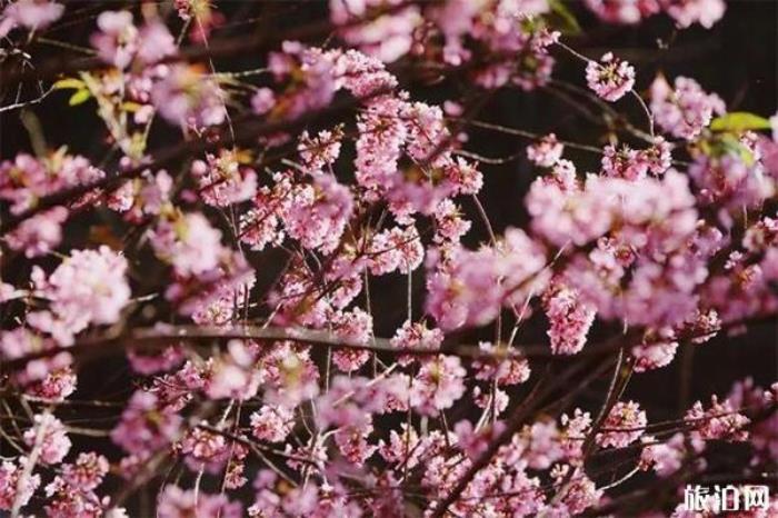 国胜大石房村 国胜大石房村