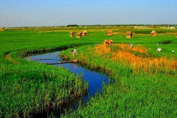 双台河口自然保护区 双台河口自然保护区