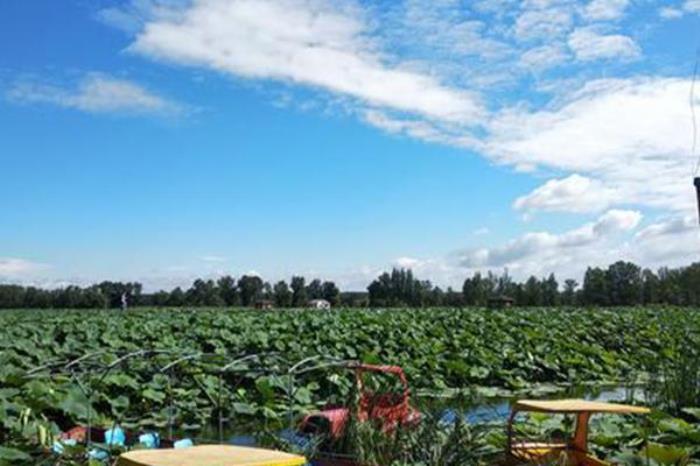 鑫安源生态园 鑫安源生态园