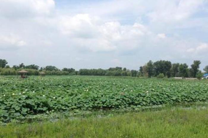 鑫安源生态园 鑫安源生态园