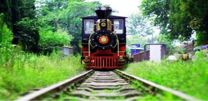 武汉松鼠部落森林假日公园 武汉松鼠部落森林假日公园