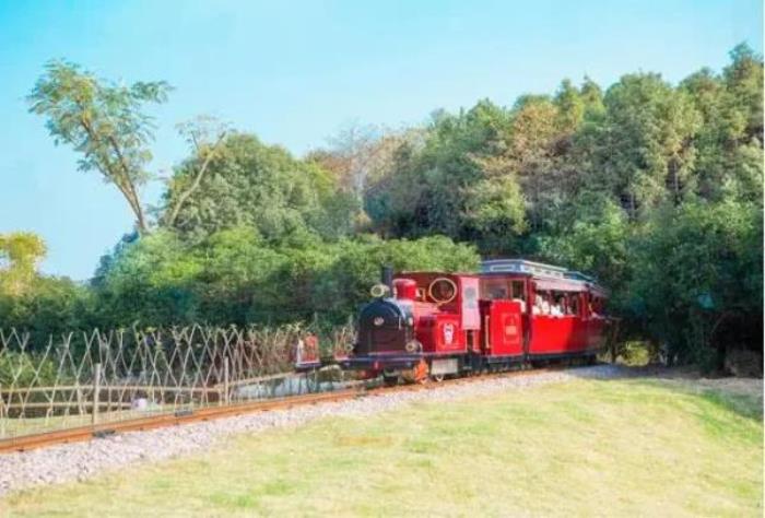 武汉松鼠部落森林假日公园 武汉松鼠部落森林假日公园