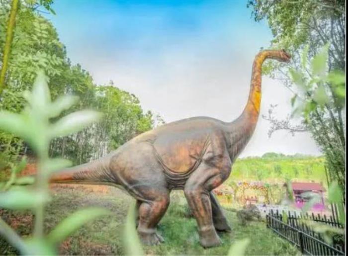 武汉松鼠部落森林假日公园 武汉松鼠部落森林假日公园