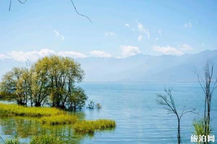 双廊古镇景区 双廊古镇景区