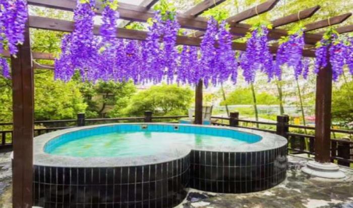 楚天瑶池温泉度假村 楚天瑶池温泉度假村