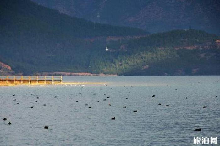 大落水村 大落水村