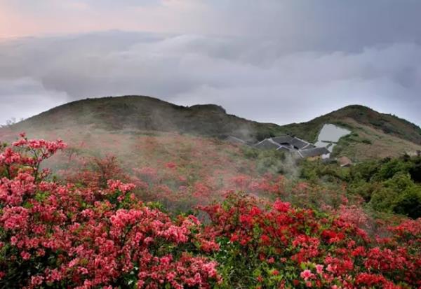 江西圣井山景区 江西圣井山景区