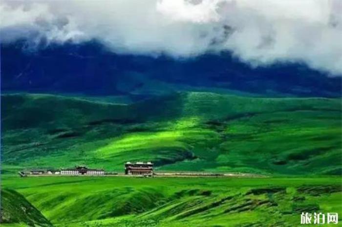 塔公草原 塔公草原