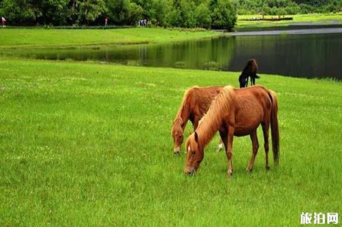 普达措国家公园景区 普达措国家公园景区