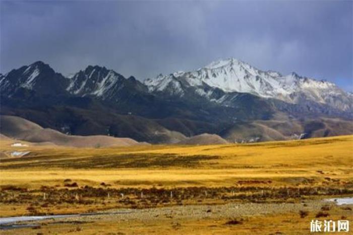 塔公草原 塔公草原
