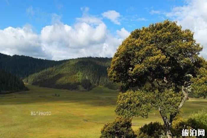 普达措国家公园景区 普达措国家公园景区