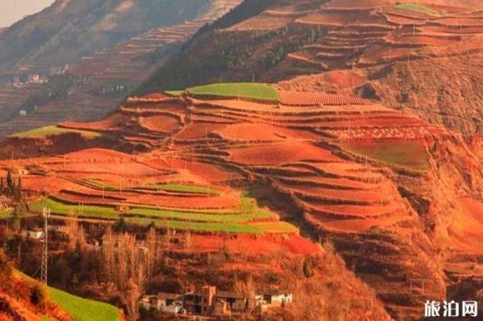 东川红土地景区 东川红土地景区
