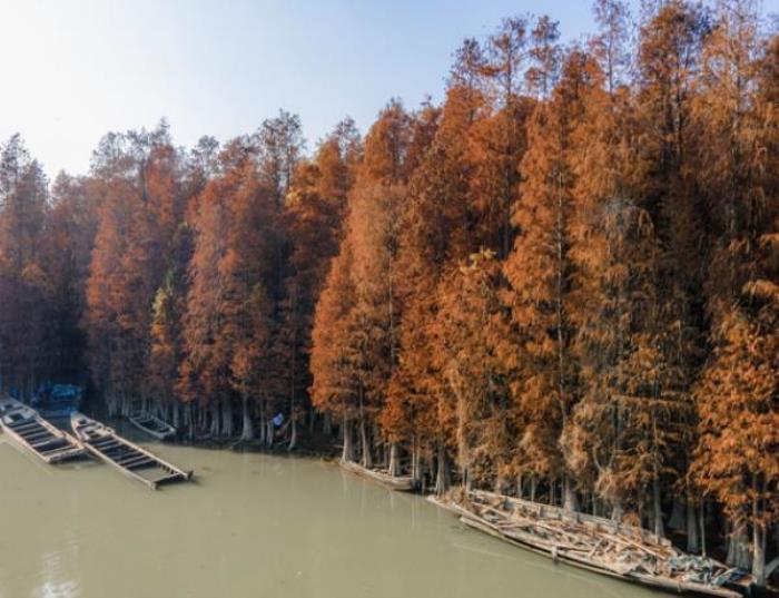 星湖旅游景区 星湖旅游景区