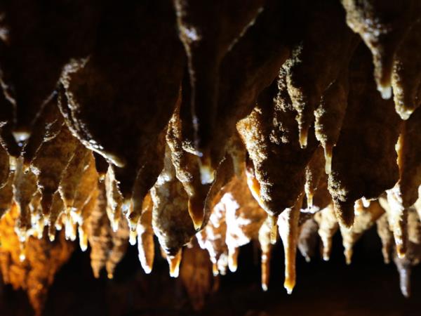 枫林地心大峡谷 枫林地心大峡谷