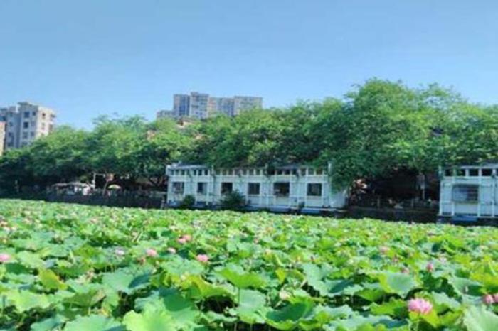 梧州潘塘公园 梧州潘塘公园