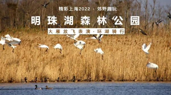 2022《精彩上海》旅游联票 2022《精彩上海》旅游联票